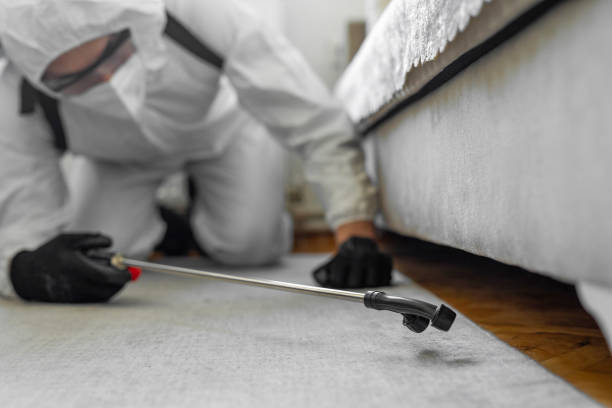 Professional Bed Bug Control technician working in Rapids, NY